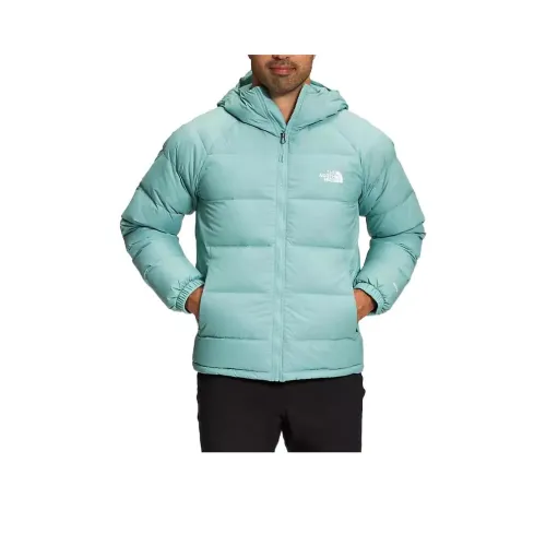 THE NORTH FACE Горчичный зеленый Мужской Пуховик