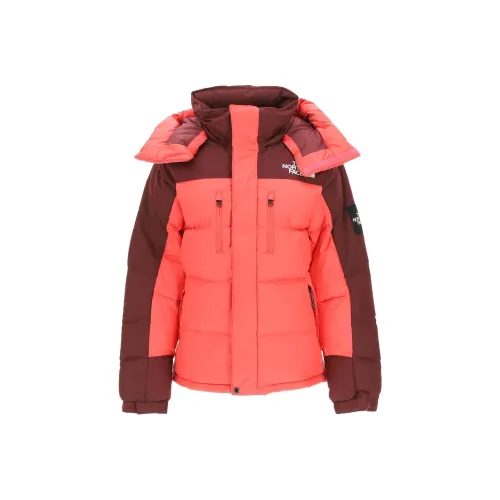 The North Face Апельсиновые унисекс пуховики