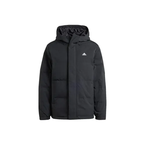 Adidas Regular Daily Черный Мужской Пух