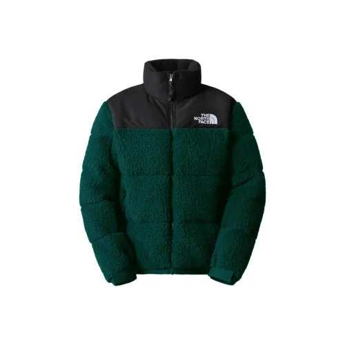THE NORTH FACE 1996 Collection Пуховик Мужской Зеленый