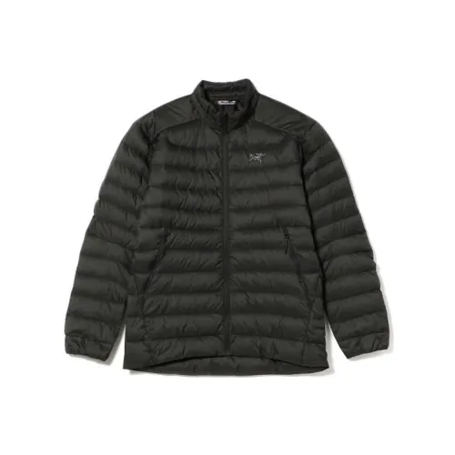 Arcteryx Cerium Пуховики и зимние пальто Мужской