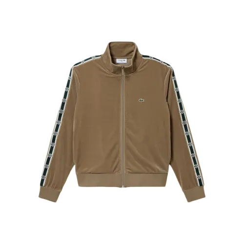 LACOSTE Куртки и Пальто Мужской Светло-Коричневый