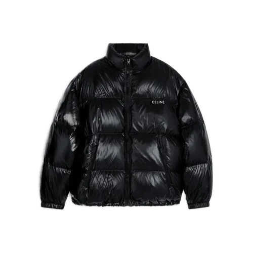 CELINE FW22 Пуховик Мужской Черный