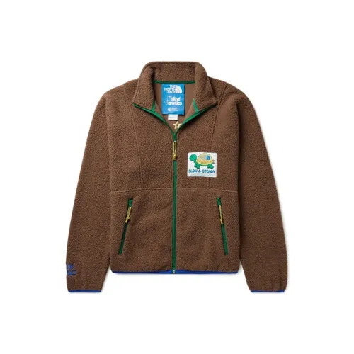 The North Face Online Ceramics Коричневый Мужской Бархатные куртки