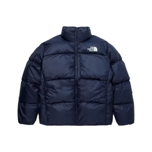 THE NORTH FACE Пуховик Зимний Мужской Морской Синий