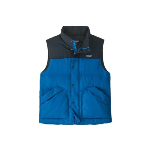 Patagonia Мужские жилеты