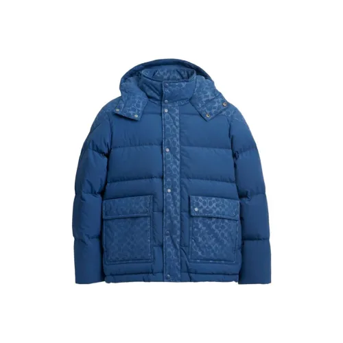 COACH Синий Мужской Пуховик