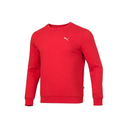 PUMA Sports Life Collection Толстовка Мужской Красный
