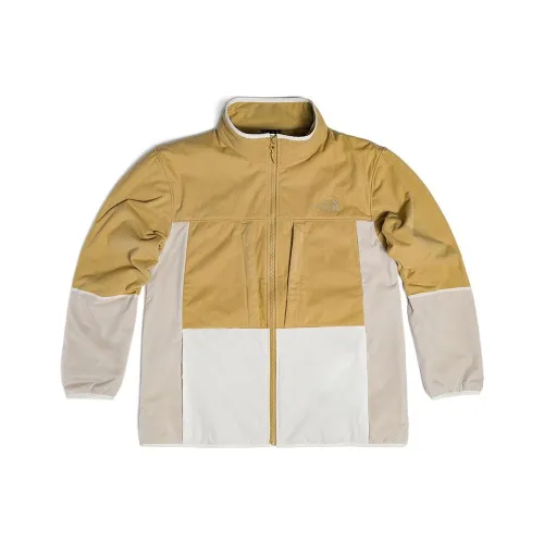 The North Face Желтый Мужской Флисовый Пуховик