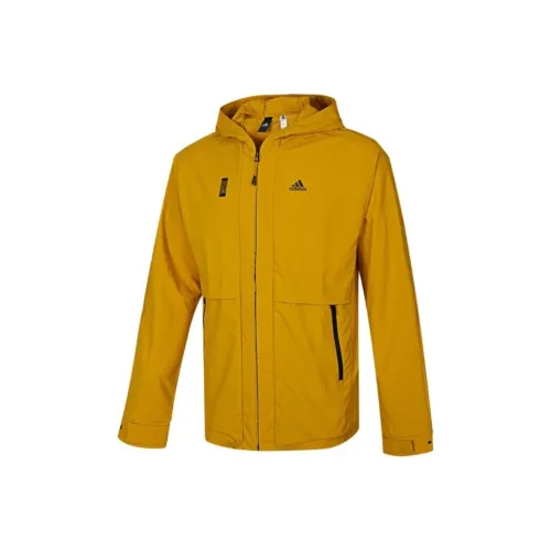 Adidas Куртки и Пальто Мужские Желтые