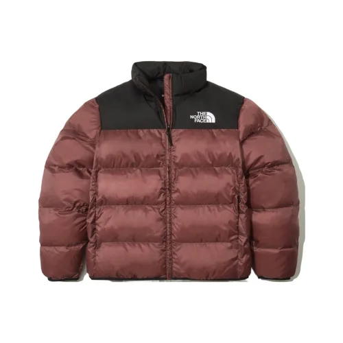 The North Face Пуховик Мужской Кирпично-Красный