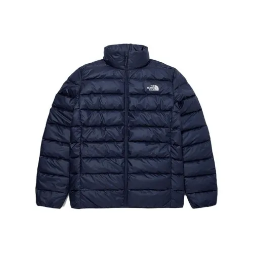 The North Face Темно-синий Синий Мужской Пуховик