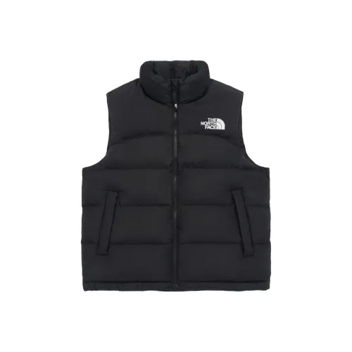 THE NORTH FACE С наполнителем EX On Шар Жилет Мужской Черный