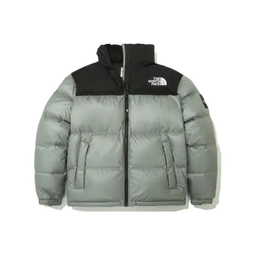 THE NORTH FACE 1996 Collection Пуховик Зимний Унисекс Зеленый