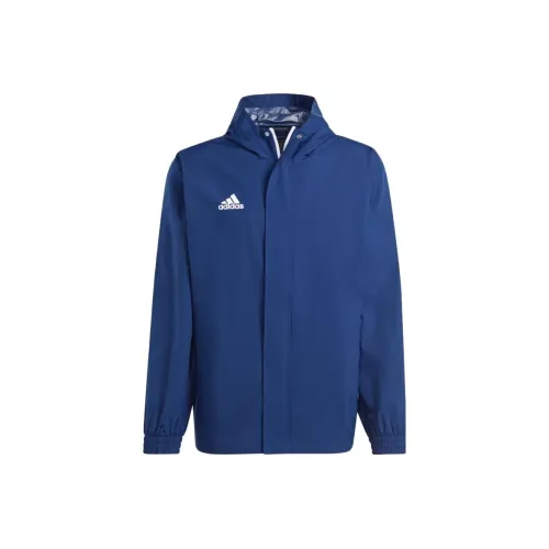 Adidas Entrada 22 Куртка Мужская Морской Синий