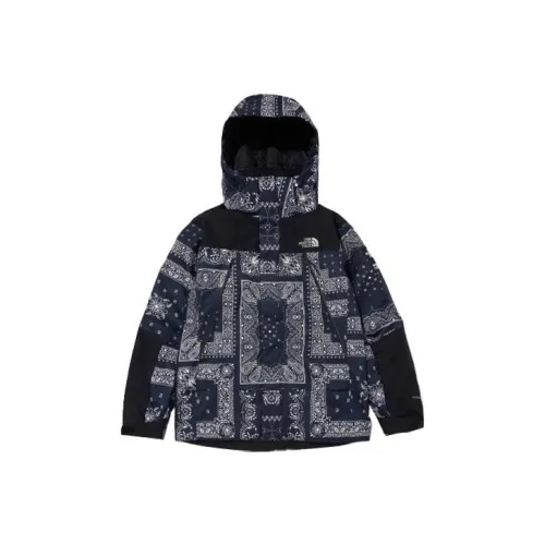 The North Face Черный мужской пуховик