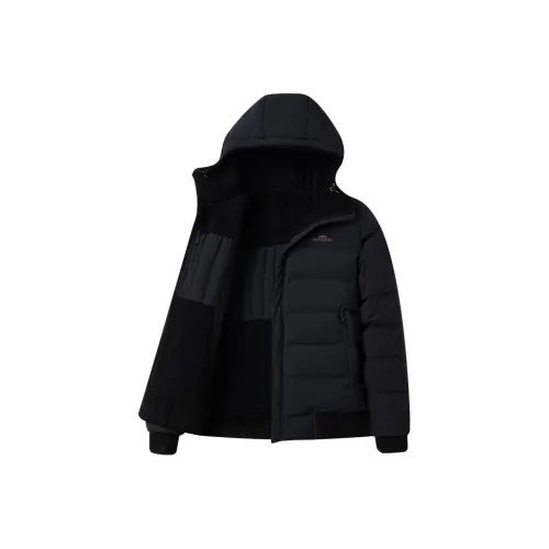 Alps Мужские Пуховики