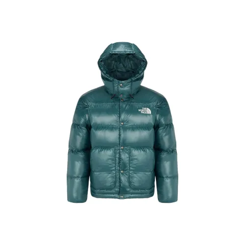 THE NORTH FACE Пуховик Мужской Зеленый