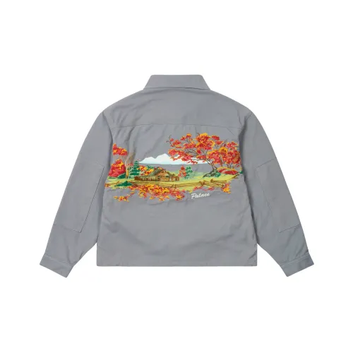 Дворцовый FW24 Серый Унисекс Куртки