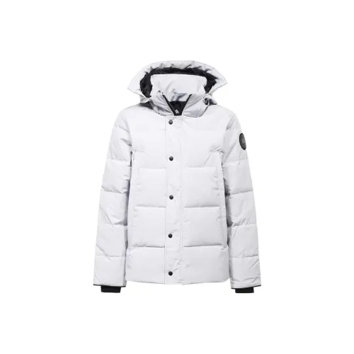 Canada Goose Wyndham Series Пуховик Мужской Silver Birch