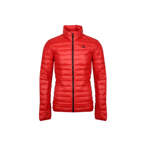 Adidas Red Men's Down Jackets Adidas Красный Мужской Пуховик