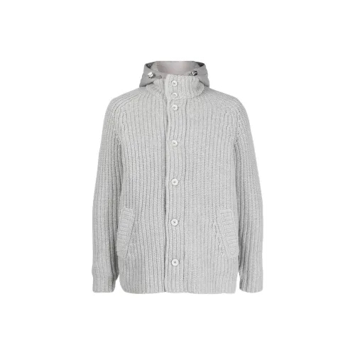 HERNO Серый Мужской Куртки