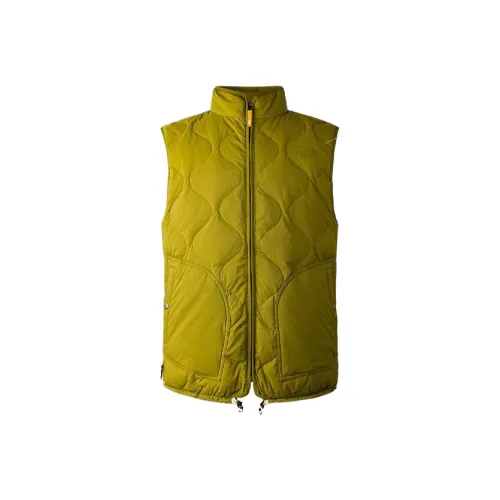 THE NORTH FACE Жилет Мужской Светло-Зеленый