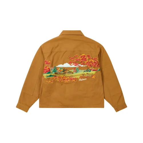 Дворцовый FW24 Коричневый Унисекс Куртка