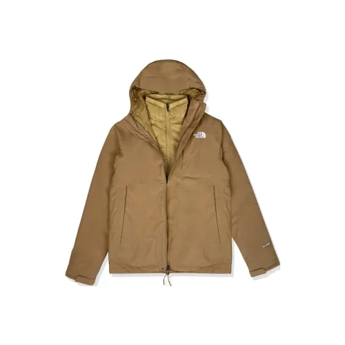 THE NORTH FACE Carto Коричневый Мужские Куртки