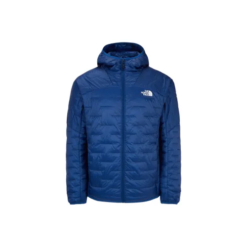 THE NORTH FACE Куртки и Пальто Мужской Синий