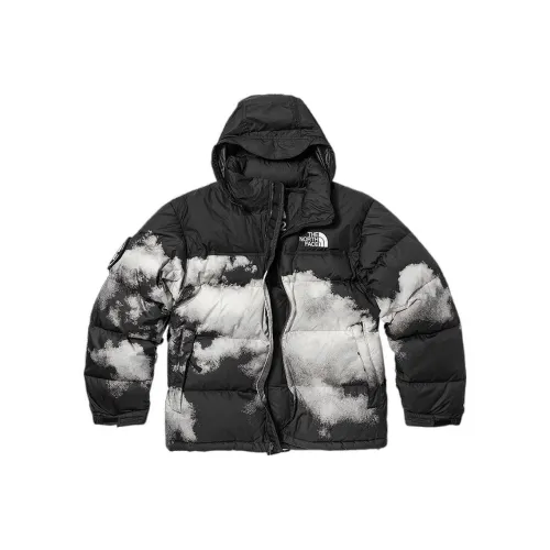 The North Face 1992 Collection Пуховик Мужской Черный
