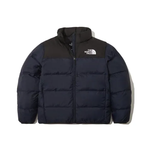The North Face Пуховая куртка Мужская Морской синий