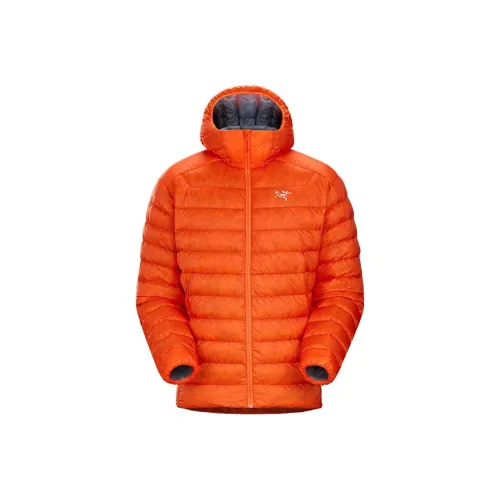 Arcteryx CERIUM SV Пуховики и зимние пальто Мужской