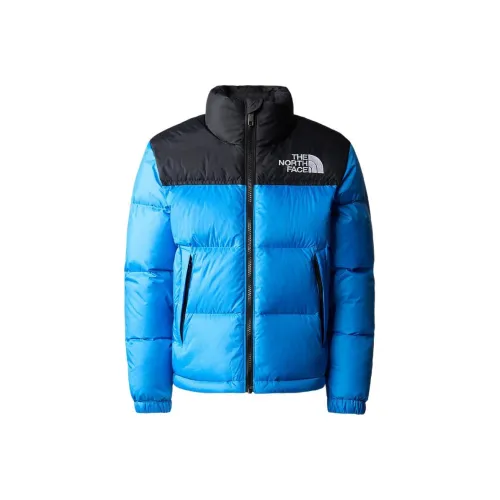 THE NORTH FACE 1996 Collection Пуховик Мужской Синий Черный