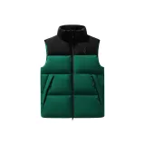 Вечнозелёный