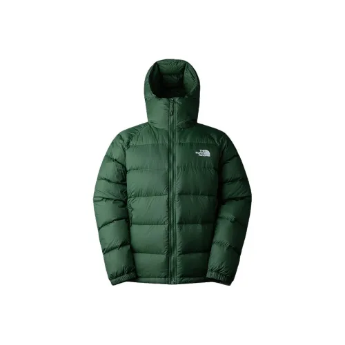 THE NORTH FACE Urban Exploration Пуховик Мужской Зеленый