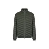 Тёмно-зелёный