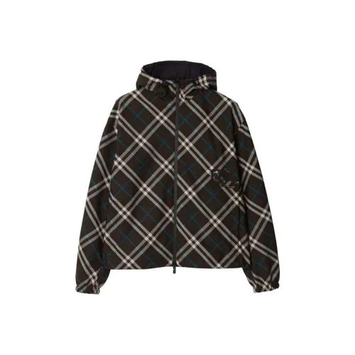 Burberry Многоцветные Мужские Куртки