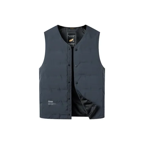 PIERRE CARDIN Мужские жилеты