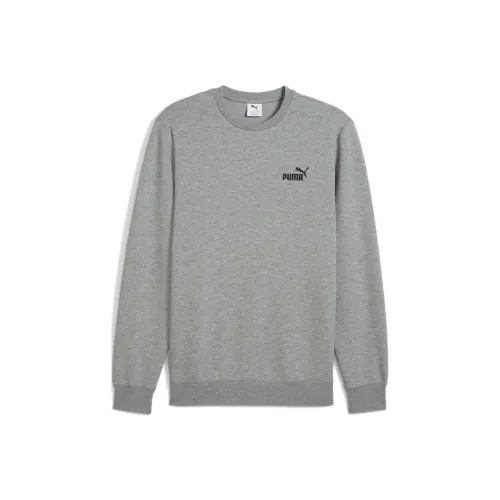 PUMA Серый/03 Мужские Свитшоты