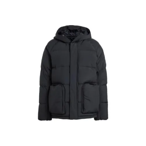 Adidas Мужские Черные Пуховики