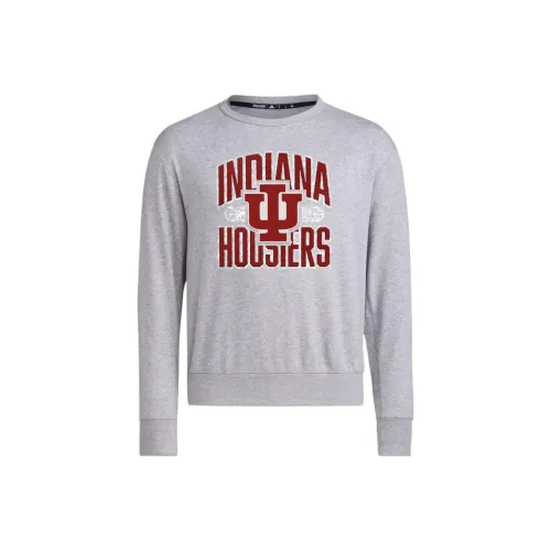 Adidas Originals Indiana Vintage CREW SWEATSHIRT Мужской Белый Серый