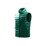 Вечнозелёный