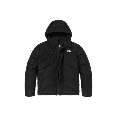The North Face Черный Мужской Пуховик