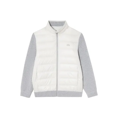 LACOSTE Collaboration Серый Мужской Пуховик