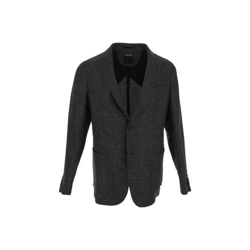 Ermenegildo Zegna Серые Мужские Куртки