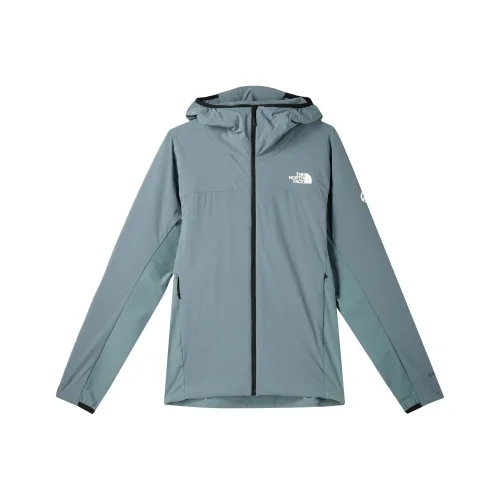 The North Face Серый Синий Мужской Пуховик