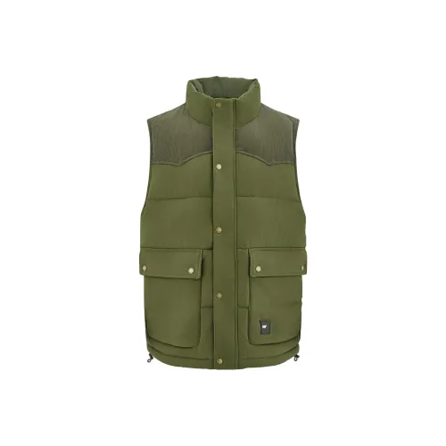 Кошка Унисекс Жилеты