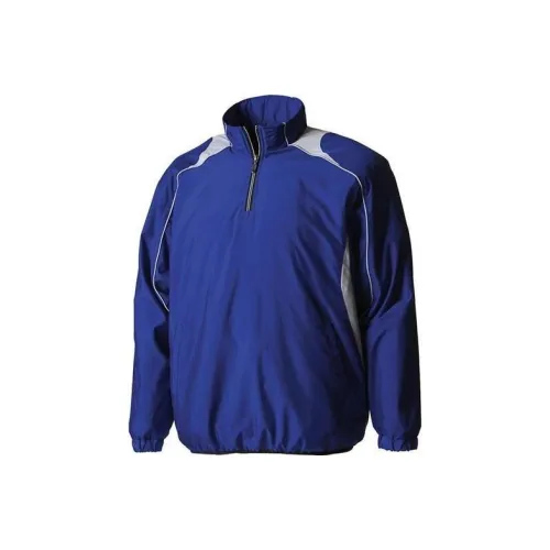 DESCENTE Спортивный ретро стиль Воротник-стойка Куртки Мужской Синий