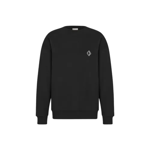 DIOR FW25 Осенняя Мужская Коллекция Одежды Свитшот Мужской Черный